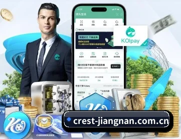 江南体育 APP 深度功能