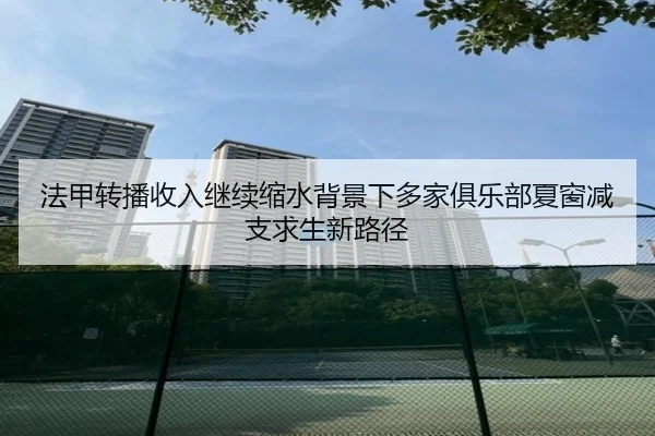 法甲转播收入继续缩水背景下多家俱乐部夏窗减支求生新路径